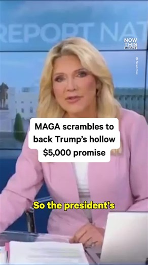 Is It a Bribe? Newsmax Asks the Tough Question