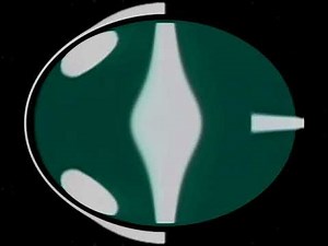 LG Logo 1995 In G Major 63