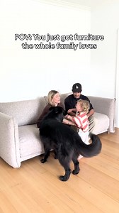 Furniture the whole family can enjoy. | Koala