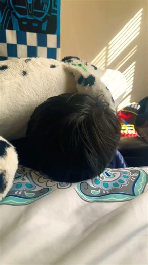 Tablet broke need fix now