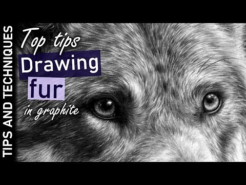 Top tips on how to draw fur in graphite | Photo realistic graphite drawings