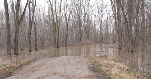 Maple River flooding closes roads and bridges in Maple Rapids as residents navigate impacts