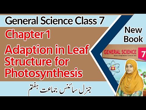 Class 7 Science Chapter 1-Adaption Leaf Structure Photosynthesis-7th Class General Science Chapter 1
