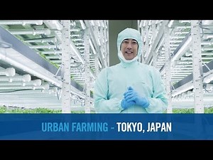 Shaping Smarter Cities: Tokyo, Japan | Empowering Innovation Together with Grant Imahara