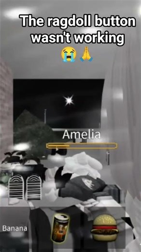 The ragdoll button wasn't working