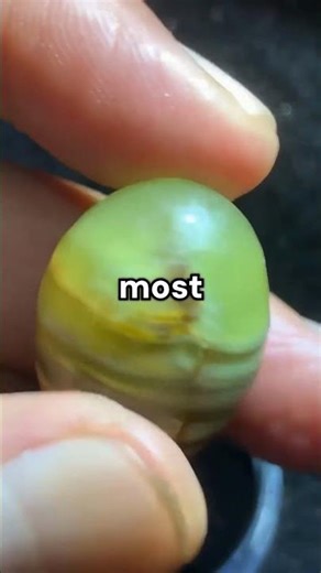 How gems form inside bamboo 🤯