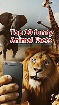 Top 10 Hilarious Animal Facts | Amazing & Weird 🐶🐸🦉