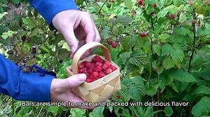 Five Ingredient Raspberry Shortbread Bars