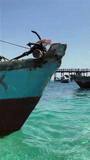 How did we get to Prison Island in Zanzibar more cheaply? #Zanzibar #PrisonIsland #travel