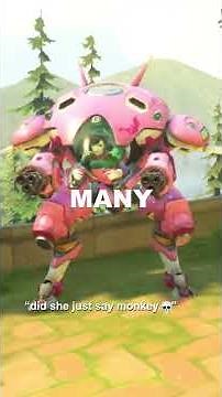 The Overwatch 2 Experience…