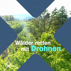 Um den Wald zu retten, brauchen Forschende Informationen. Aber wie kommt man an Daten aus den Wipfeln des Waldes? Mit Hightech! Mehr zu dem Thema findet Ihr in der Mediathek in der Sendung 3sat NANO: www.3sat.de/wissen/nano/200427-sendung-nano-102.html#xtor=CS5-54 | Terra X