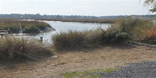Council to vote on agreement to continue to monitor James Island Creek
