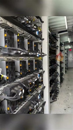Bitcoin mining farm #dogeminer #asicminer #asicmining #btcmining #btcminer #ltcmining