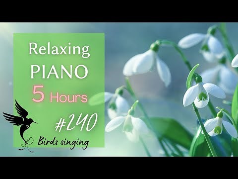 Relaxing Piano Music with Birds Singing５hours: Spa, Meditation, Sleep, Focus, Study ★240