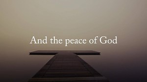Enjoy a smoother reading experience with the only Amplified® Bible in a single-column, paragraph format. This paragraph-style format and clean design allow you to better grasp the themes in scripture as your eyes follow a more natural reading pattern. | NIV Application Bible