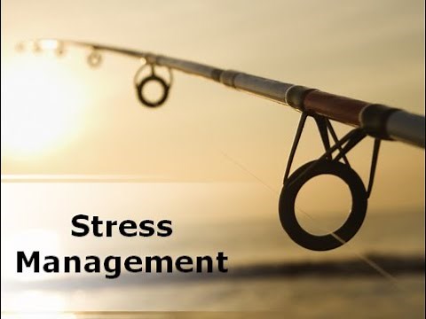 Stress Management Powerpoint PPT Presentation Sample - Clean @ReadySetPresent.com