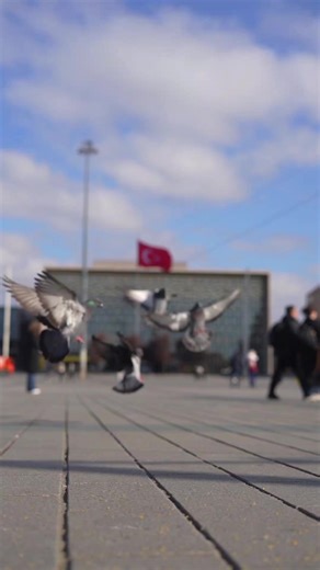 Discover Istanbul: A Journey Through Life and Culture