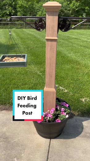 This DIY bird feeder post was so simple and i love the way it turned out 🤩 I also made the bird bath using hanging chains, a cheap planter base, and a hair tie 😂👌🏼 #diybirdfeeder #easydiy #birdtok #birdfeeder #birdlover #backyardbirds