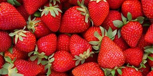 London's countryside mapped