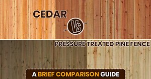 Cedar Vs Pressure Treated Pine Fence: A Brief Comparison Guide