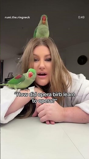 Lovely singing parrots #pets #parrot