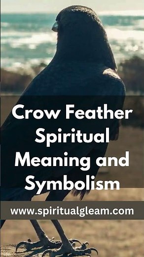 Crow Feather Spiritual Meaning and Symbolism