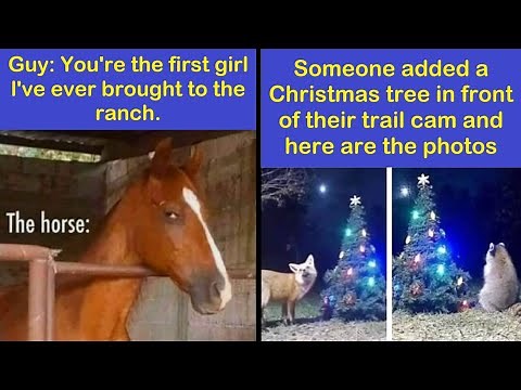 Funny Memes That Show Why Country Living Isn’t As Peaceful As You Think | Happy And Fun
