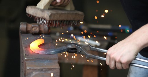 Farriery Ireland - Register | Authority | School