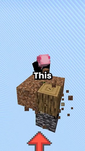 The number one rule in Minecraft #minecraft #oneblock #minecraftmemes #smp | Recapbolt