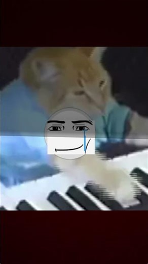 Rip keyboard cat 1984-1987😔🥀
