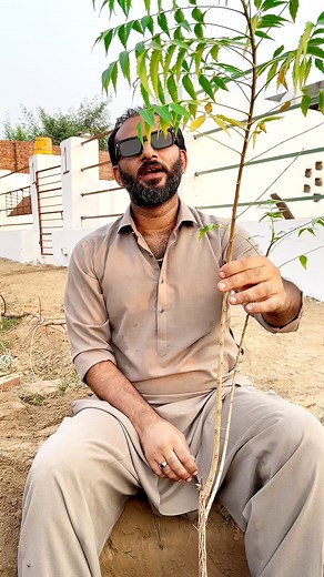 177K views · 8.2K reactions |  Off-Grid Secret UNLOCKED!  This...