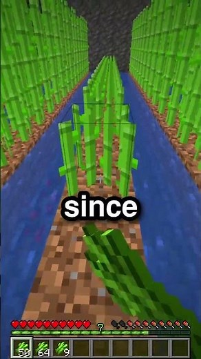 How to Get Started on FreshSMP Survival