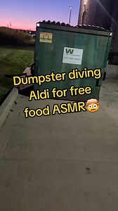67K views · 2.2K reactions | They throw away so much  #dumpsterdiving #asmr #fyp #wow #foryou | Grab Fast | Facebook