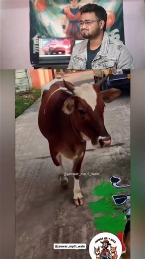 Kom banaya ye🤣#laughingreels#comedyindia#petreels#animallovers#funnyshorts#viralshorts#dailyreels