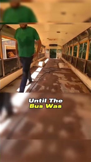 I Spent $5000 to Convert a Retired School Bus into a Luxury RV