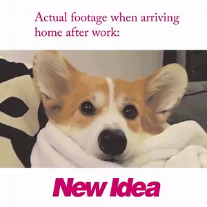 The best! | New Idea Magazine