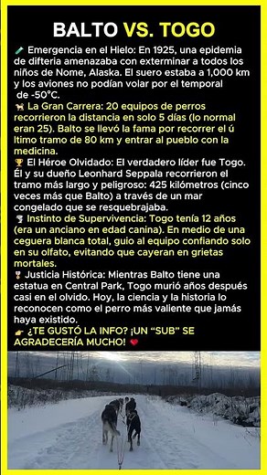 Balto vs. Togo: La verdadera historia detrás de la carrera por la vida ❄️