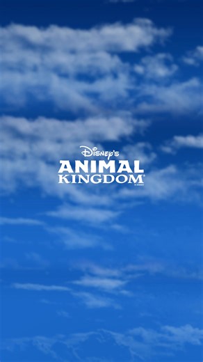 Come one, come all! Join the wild celebration at Zootopia: Better Zoogether!—a NEW 4D show at Disney’s Animal Kingdom Park! | Walt Disney World