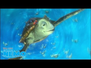 Finding Nemo | Το Αυστραλιανό Ρεύμα