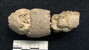 Fossilized Feces Gives Clues To Ancient Microbes