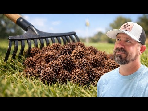 Early Spring task I don’t enjoy doing …