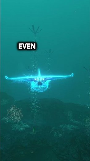 The Terrifying Truth Behind The Ghost Leviathans