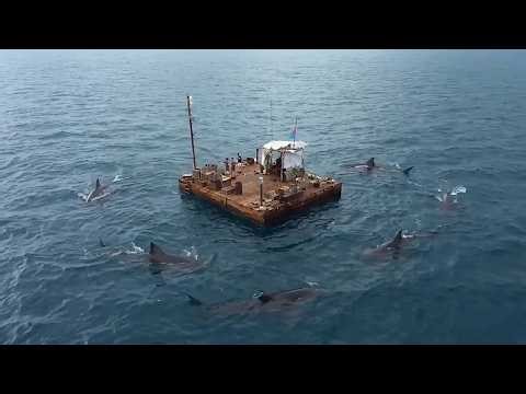 They Almost Didn't Survive a Week at Sea | MrBeast Summary