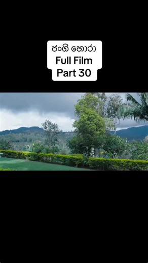 ජංගි හොරා - Full Film Part 30