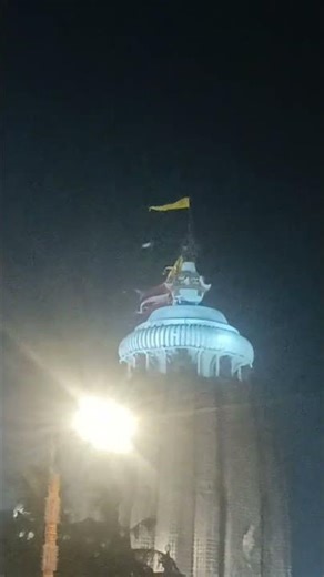 Jagannath temple Puri Patita bawan darshan| Jay Jagannath 🙏