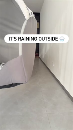 68K views · 806 reactions | Sleeping through rain ️ | Golden Club | Facebook