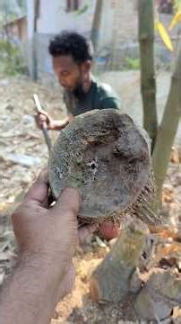 You Won’t Believe This Bowl Made from Discarded Bamboo Root!