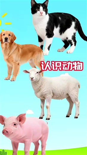 Fun Animal Cartoons for Kids