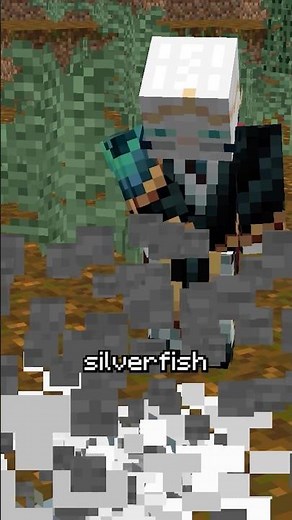 the right way to get silverfish out of stone