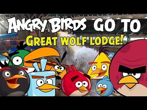 Angry Birds go to Great Wolf Lodge!